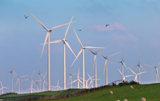 Symbolbild für Faktencheck Windenergie: Man sieht mehrere Windräder auf einer grünen Wiese vor bewölktem Himmel, mit Schafen auf der Wiese und Vögeln um die Windräder.