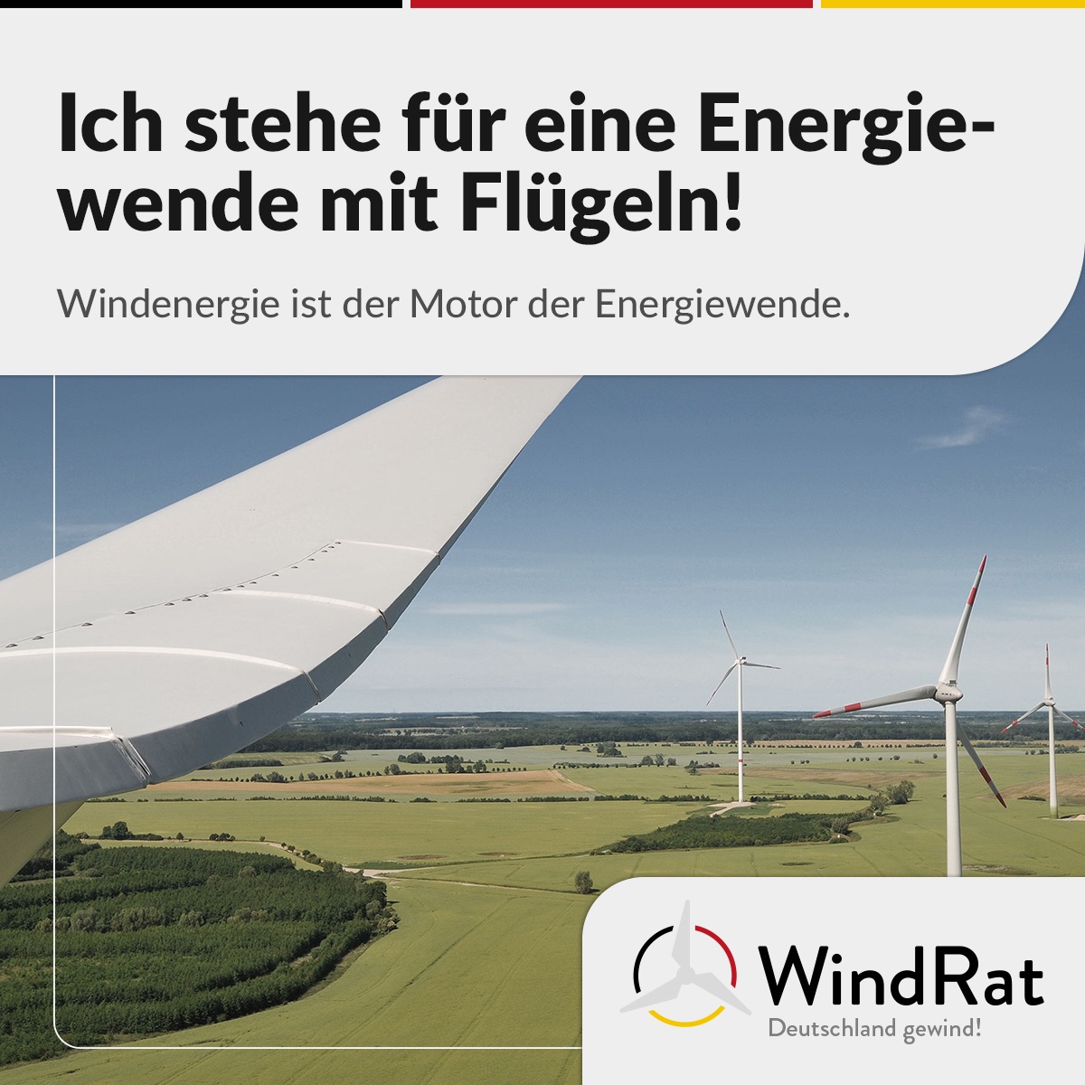 windrat-socialmedia-pic-01