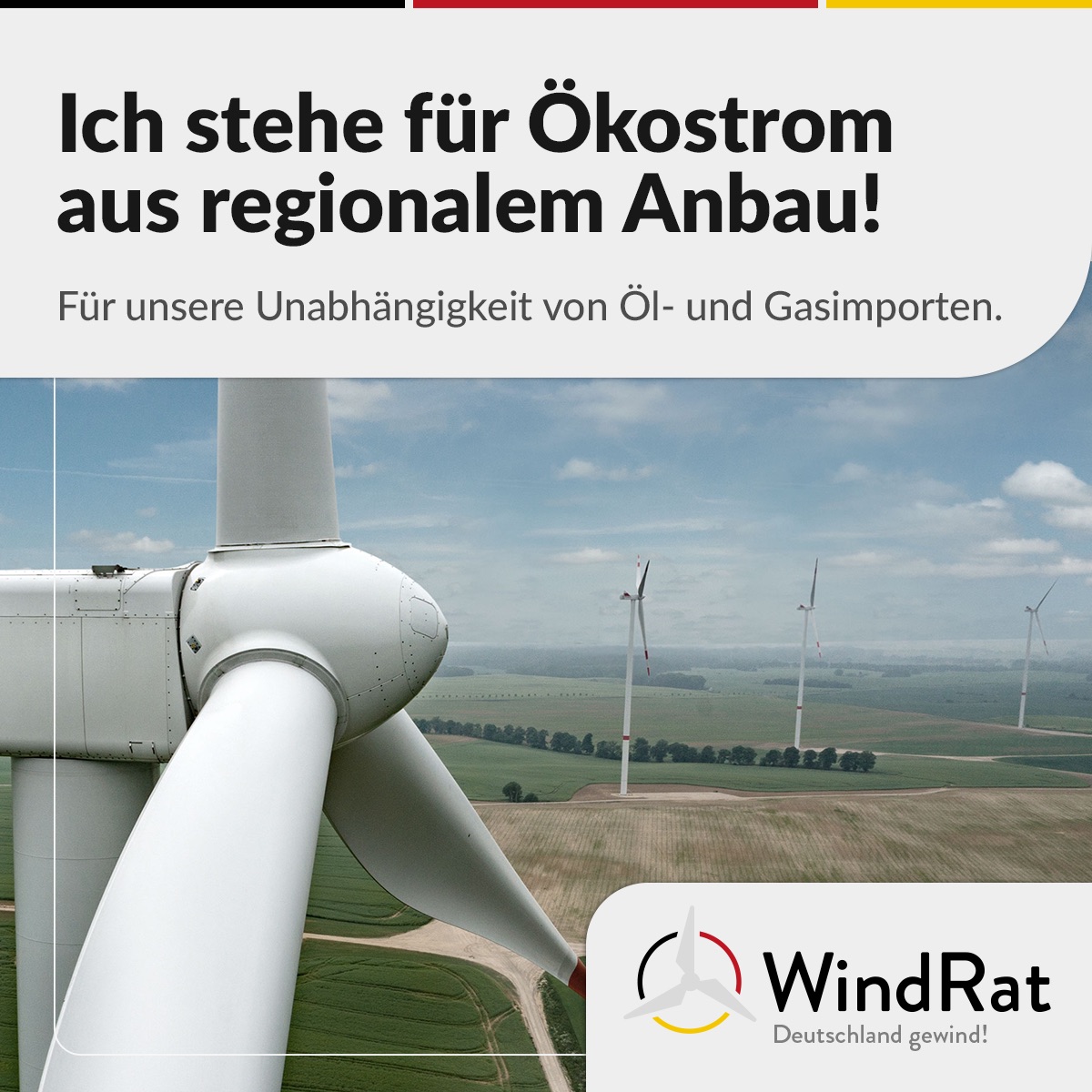 windrat-socialmedia-pic-06